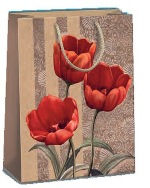 Darč.taš.T5/0754,0854Argus